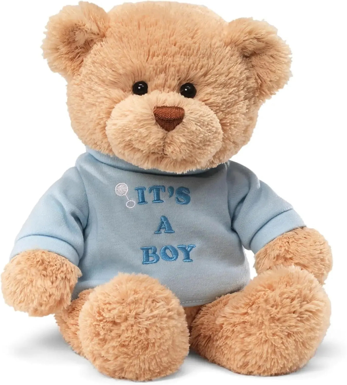 Teddy Bear Personalized Text (T-Shirt)